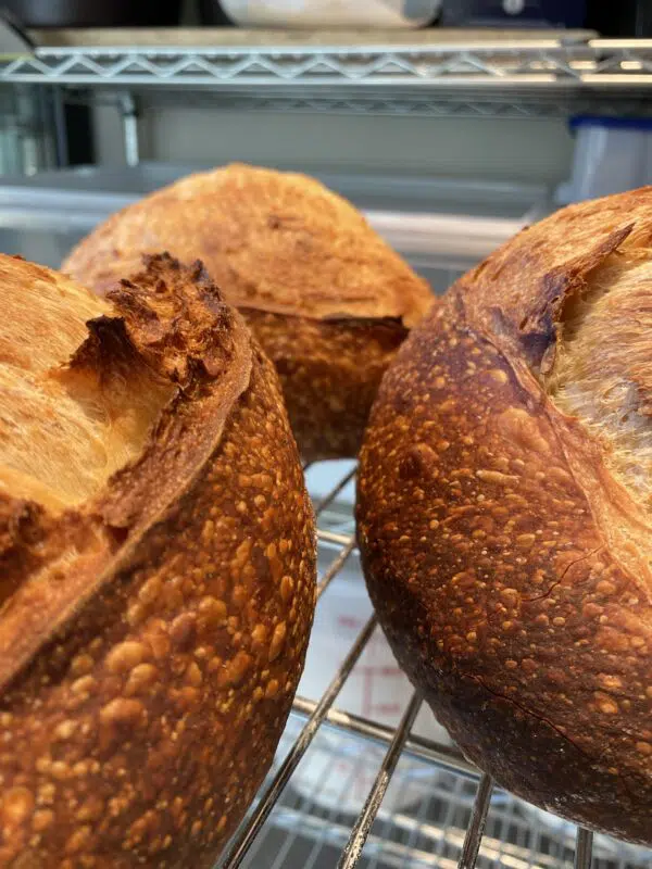 Country French Batard (oval) - Image 2